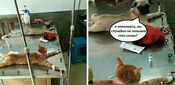 Как работают стоп-слова и антиспам в Tolstoy Comments?