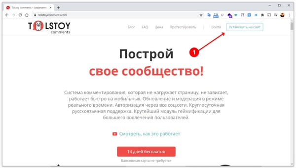 Как установить виджет комментариев Tolstoy Comments на сайт Tilda