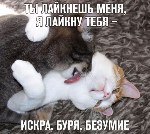 Как за счет ботов повысить количество комментариев на сайте?