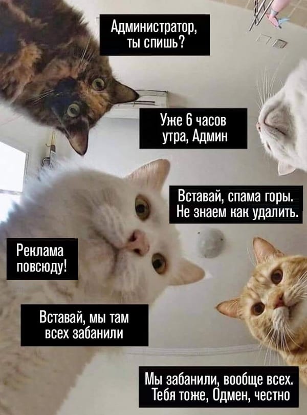 Весенний апдейт TC: народные и обычные модераторы. Кто важней?